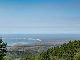 Point Reyes 002